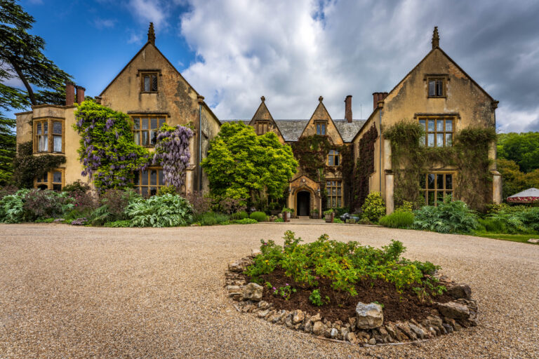 A large country home covered in a blanket of wisteria and ivy.