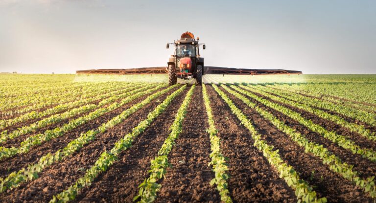 A tractor with a sprayer attached makes its way down the rows of crops.