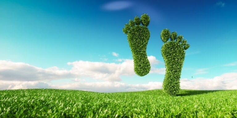 An image of two giant feet made of grass are walking along a field.