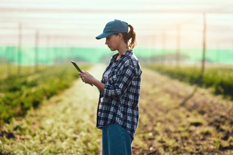 A female farmer stands amongst her crop as she checks her computer tablet.