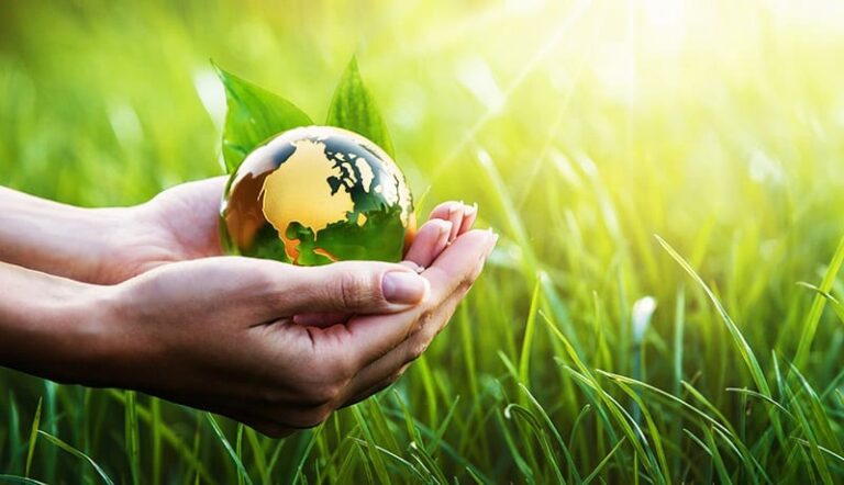 A hand is cradling a yellow and green globe set against the backdrop of long grass.