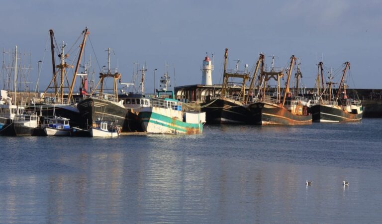 Fishing vessels in Newlyn Harbour with a backdrop of grey sky and sea.