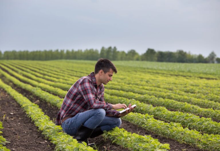 A young farmer from Generation Z crouched down in his field while entering information on his tablet.