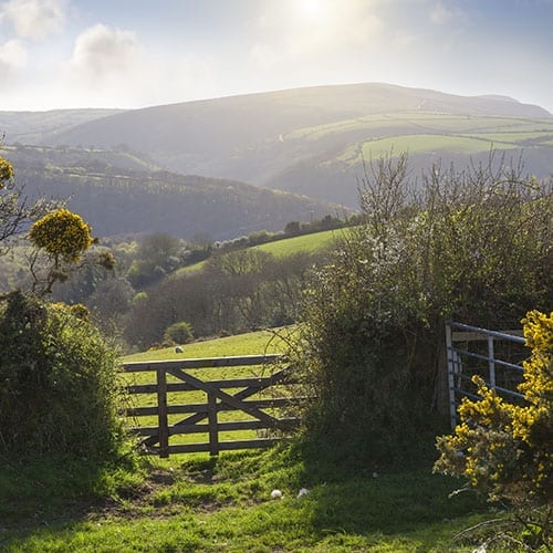 Farm fields and hills with a farm gate.