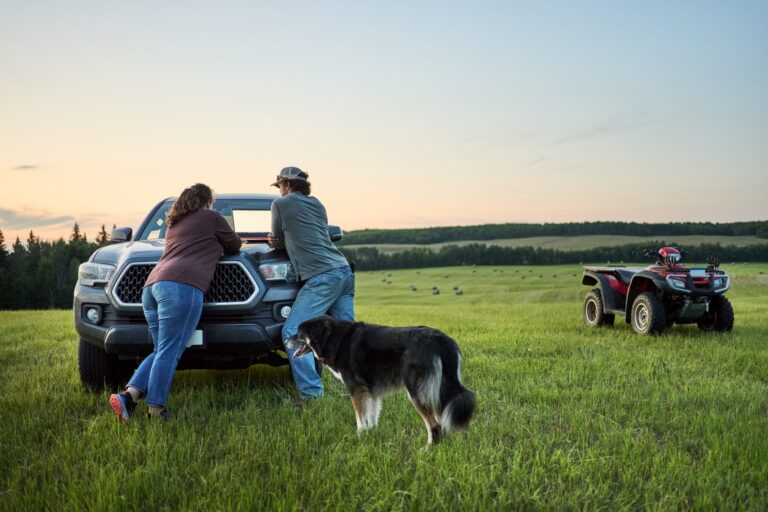 Two farmers are leaning on the bonnet of their pickup truck, looking at a laptop, as their dog waits beside them, all surrounded by a field.