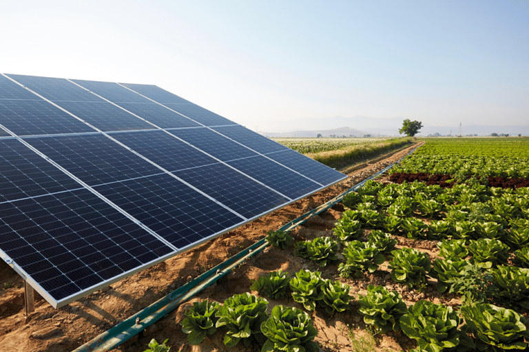 A large solar panel stands alone in a field of spring greens.