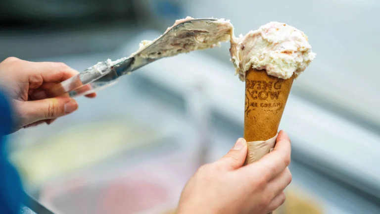 Surfing Cow ice-cream in cone