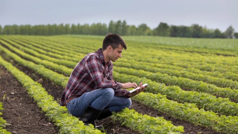 A man is crouched in a field full of agricultural plants, looking at an iPad.