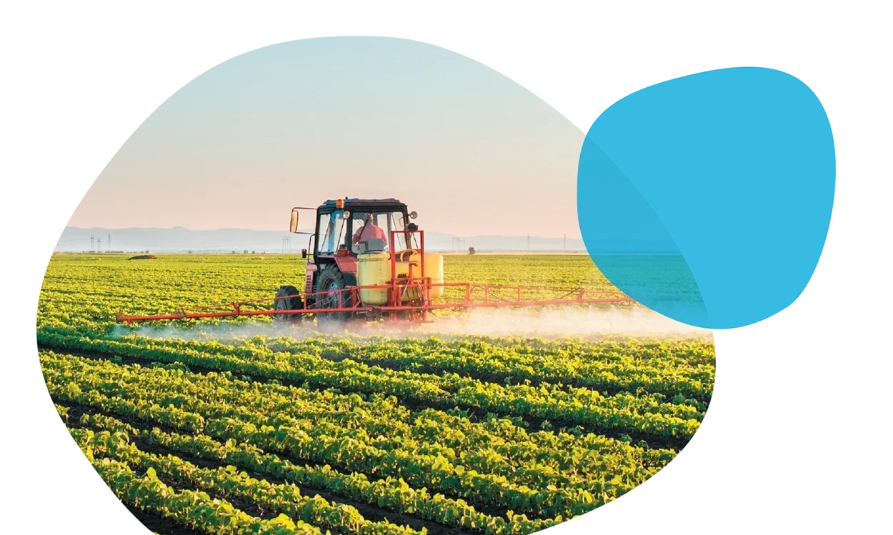 A tractor is spraying crops in field.