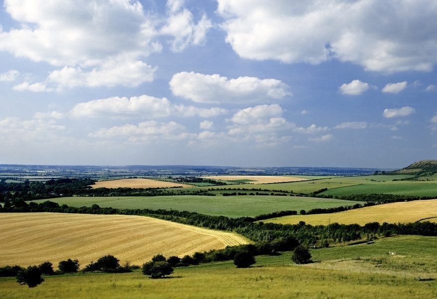 Fields of yellows and greens under a cloudy blue sky.