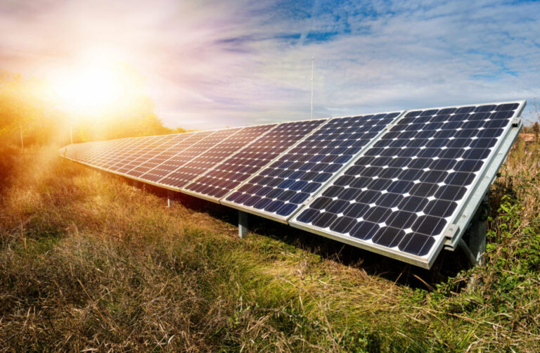 Solar panels on a sloping field bank with the sun shining.