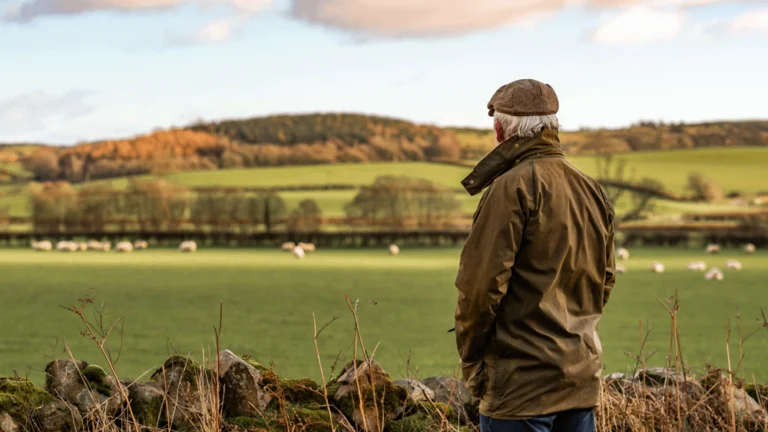 A farmer is looking across the field at his sheep