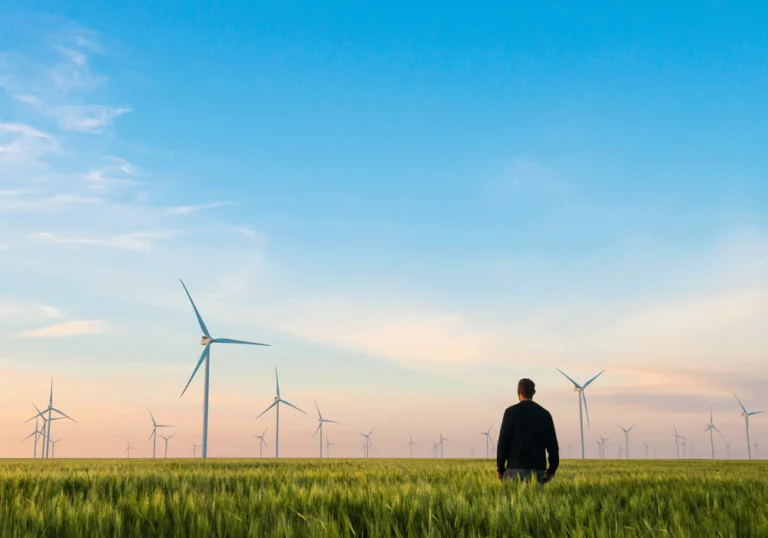Man in field looking at wind turbines