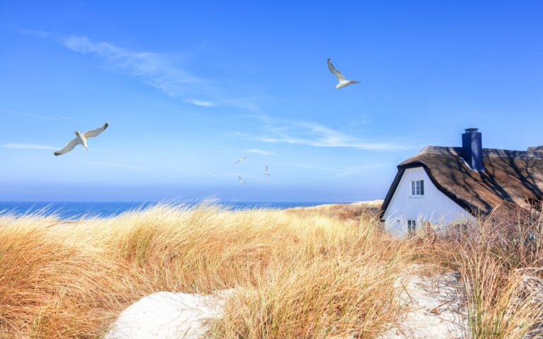 Seagulls soar through a clear blue sky above a white thatched cottage hidden by seagrass on a sandy beach.