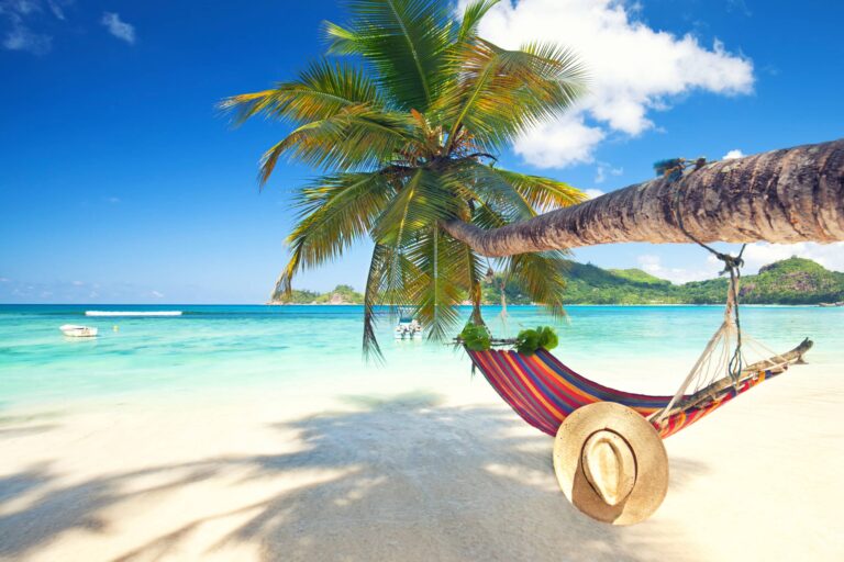 A tree lies sideways on a beach, a hammock strung beneath it, offering a view of the sea and the clear blue sky.