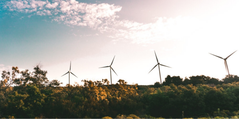 Image of wind farm representing environmental sustainability