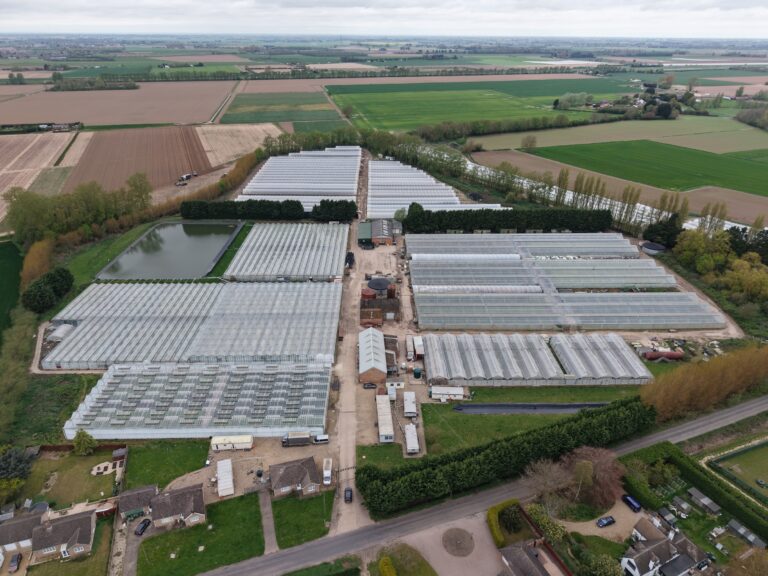 An aerial view of Rokewood Nursery, near Wisbech